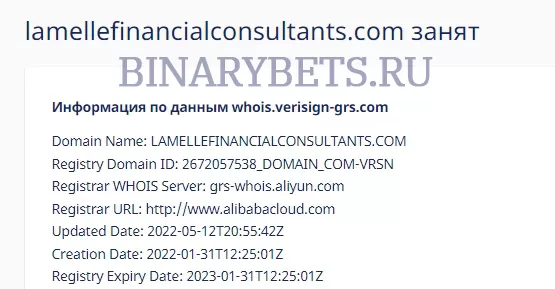 Lamelle Financial Consultants Reviews Scam