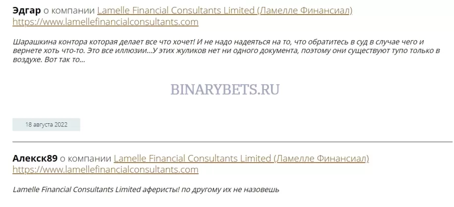 Lamelle Financial Consultants Reviews Scam